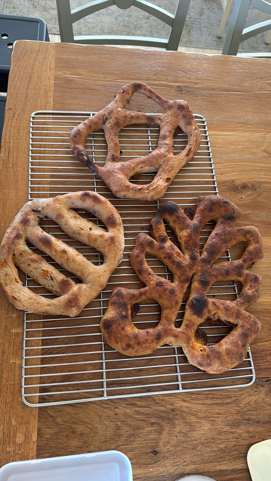 פוגאס